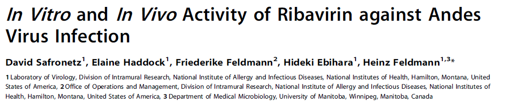 İnvivo (Hamster) modeli Amaç; ANDV ile enfekte edilen kobaylara Ribavirin profilaksisi (oral veya intarperitoneal) uygulanıyor Temas sonrası durum Ribavirine ne zaman başlanmalı?