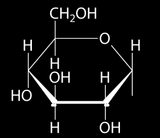 Disakkaritler α-maltoz 1 4 O α; 1