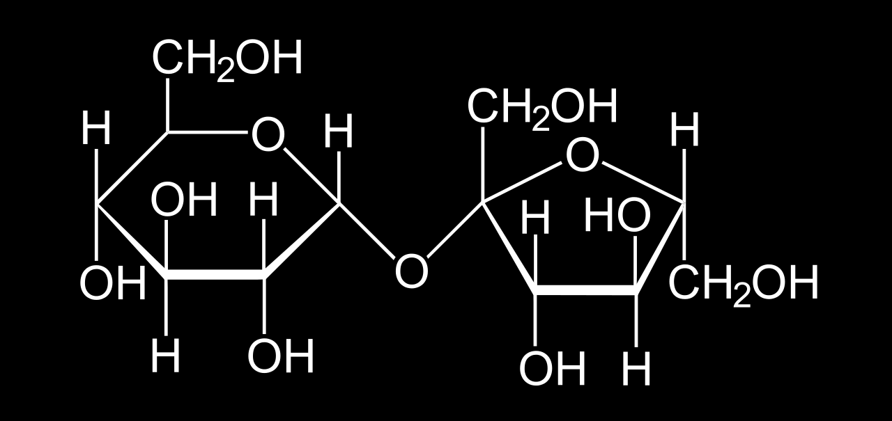 Disakkaritler α; 1 2 Glikozid