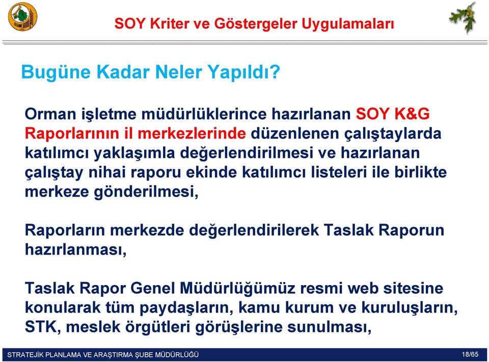 değerlendirilmesi ve hazırlanan çalıştay nihai raporu ekinde katılımcı listeleri ile birlikte merkeze gönderilmesi, Raporların