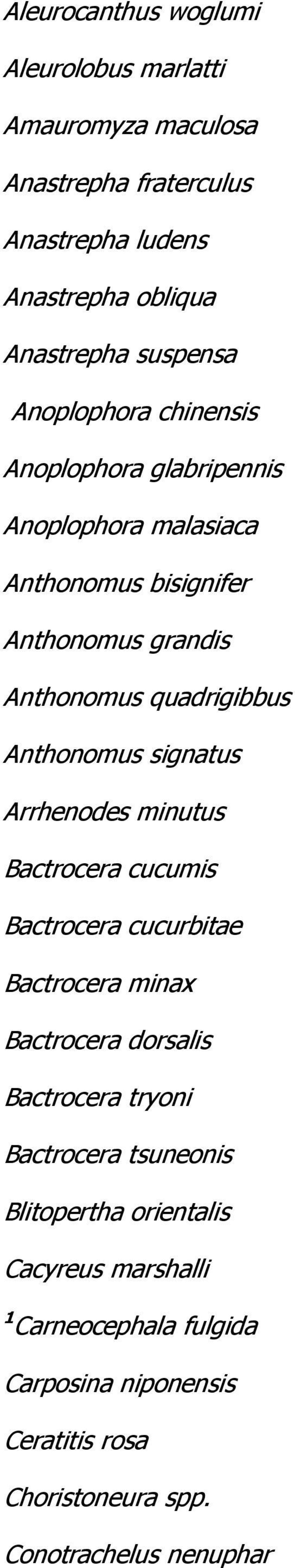 Anthonomus signatus Arrhenodes minutus Bactrocera cucumis Bactrocera cucurbitae Bactrocera minax Bactrocera dorsalis Bactrocera tryoni