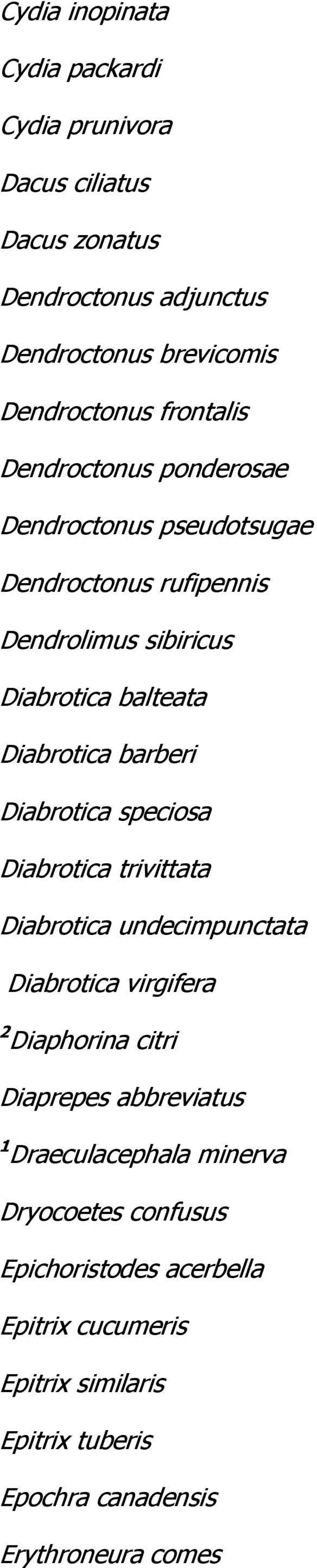 barberi Diabrotica speciosa Diabrotica trivittata Diabrotica undecimpunctata Diabrotica virgifera 2 Diaphorina citri Diaprepes abbreviatus 1