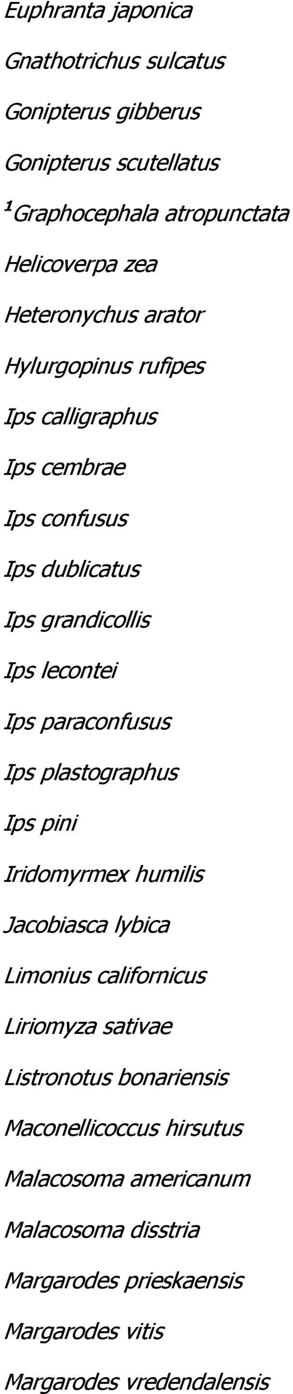 paraconfusus Ips plastographus Ips pini Iridomyrmex humilis Jacobiasca lybica Limonius californicus Liriomyza sativae Listronotus