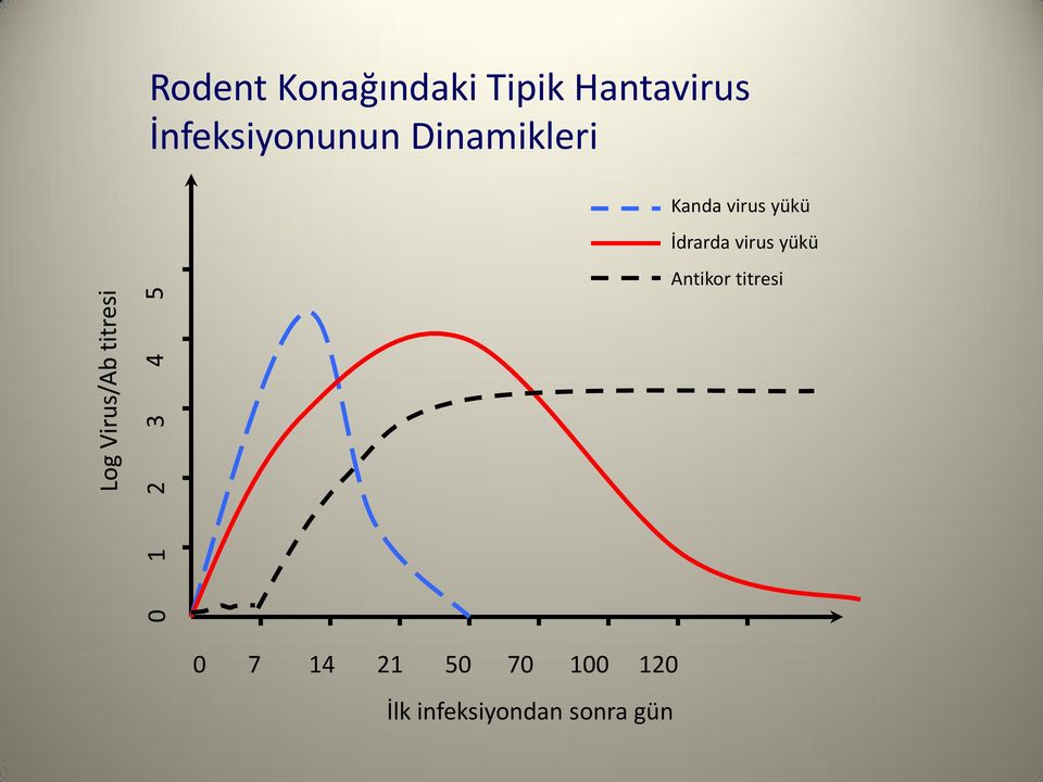 yükü İdrarda virus yükü Antikor titresi 0