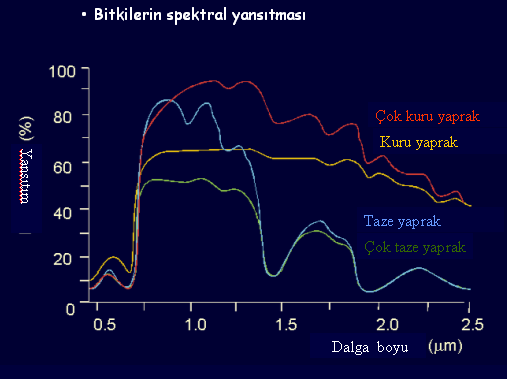 Cisimler ile Etkileşim Spektral