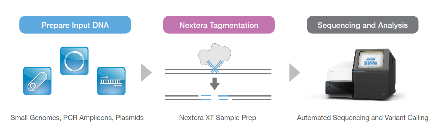 MiSeq