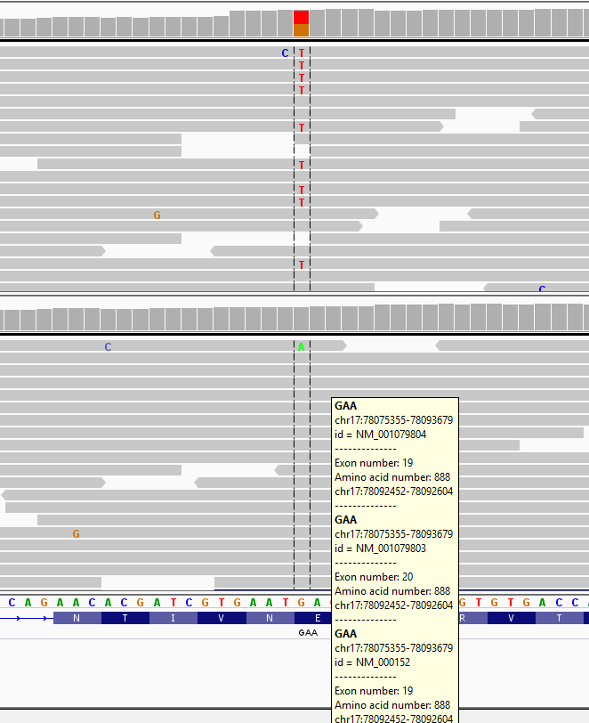 MiSeq