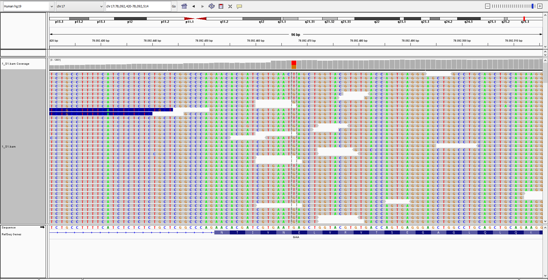 MiSeq