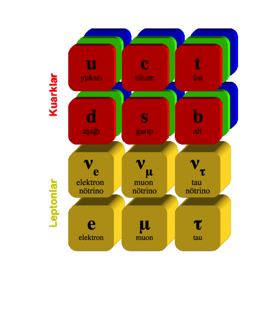Fermiyonlar Temel Parçacıklar Etrafımızdaki cisimleri oluşturanlar Erken evrende ve laboratuvarda olanlar Kuarklar: u, c, t, b, d, b,? Leptonlar: υe, υμ, υτ, e, μ, τ?