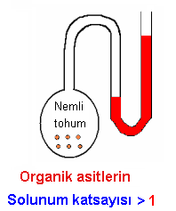 9 Solunum Katsayısı (RQ): Oksijenli solunumda, Üretilen CO 2 miktarının; Tüketilen O 2 miktarına oranına, solunum katsayısı denir. Karbonhidratların solunum katsayısı = 1' dir.