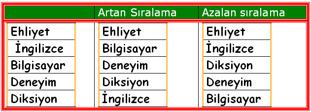 Tablolar Tablolar Tablolar Tabloda Otomatik Toplama Tablo ya da metin alanlarına gölge rengi