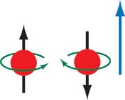 Serbest Parçacık Parçacıkların Sınıflandırılması - Spin Spin : bir parçacığın durgun olduğu sistemde sahip olduğu açısal momentum değeridir.