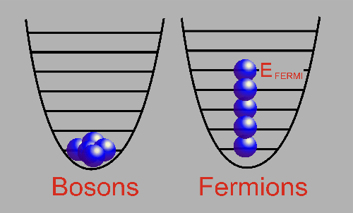 Bu tür parçacıklara fermion denir. Foton gibi tam spinli parçacıklara Pauli dışarlama ilkesine uymazlar.