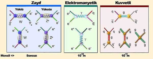 Temel Kuvvetler (Feynman