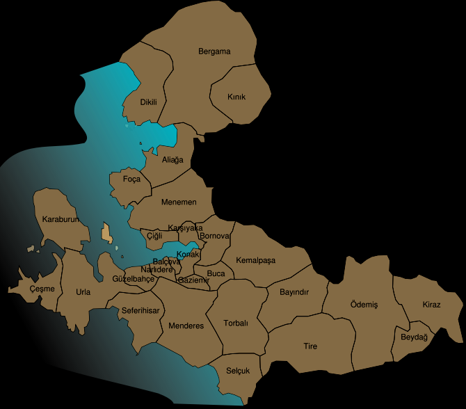 demiryolu ulaştırmasında İzmir'in özel bir önemi vardır. Çünkü ülkemizin ilk demiryolu 1886 yılında İzmir - Aydın hattında yapılmıştır.