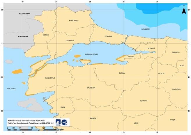Şekil-8 Marmara Denizi güney batısında Karabiga kıyılarının Önemli Fok Alanı olduğunu gösterir Ulusal Eylem Planı (Kıraç, Veryeri, Güçlüsoy, Savaş 2013) Çok nadir ve IUCN Kırmızı Liste CR