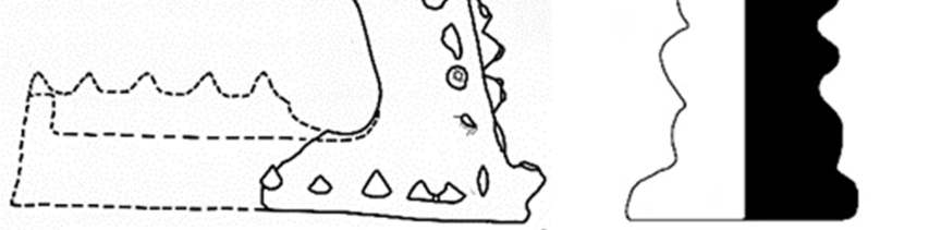 Fig. 51 Yalpak Tepe Sarayı ritüel