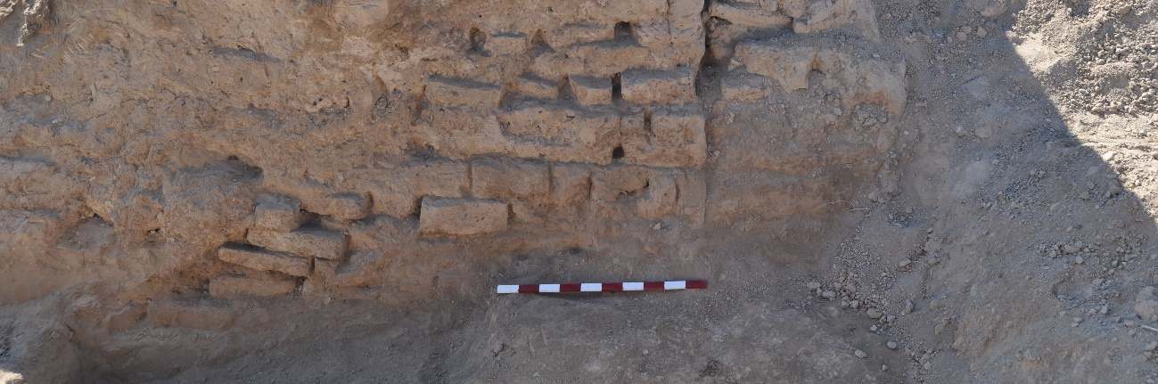 Fig. 85 Yerkurgan Merkez Tapınağı kerpiçten doğu duvarı kesitinin görünümü.