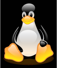 Kullanım Alanları: 1.Açık kaynak kodlu olması çekirdek yapı üzerinde uygulamayı kolaylaştırmıştır.bundan dolayı linux farklı amaçlar dahilinde kullanılır. 2.