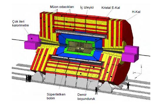 2. ÖNCEKİ ÇALIŞMALAR Ali EKENEL LHCb: LHC beauty, zayıf ve b-kuark fiziği üzerinde çalışmaktadır. ALICE: A Large Ion Collider Experiment, ağır iyon çarpışmaları ve partonplazma üzerine çalışır.