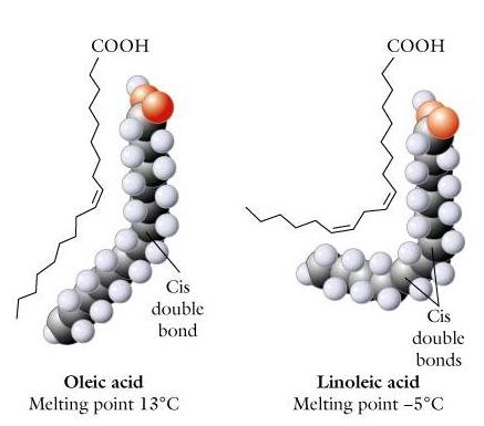 Bazı yağ asitlerinin açık formülleri MARGARİN Doymamış yağ asitlerindeki, karbon atomlarında eksik yerlerde hidrojen bağlanmasına margarinleşme, oluşan yağa margarin