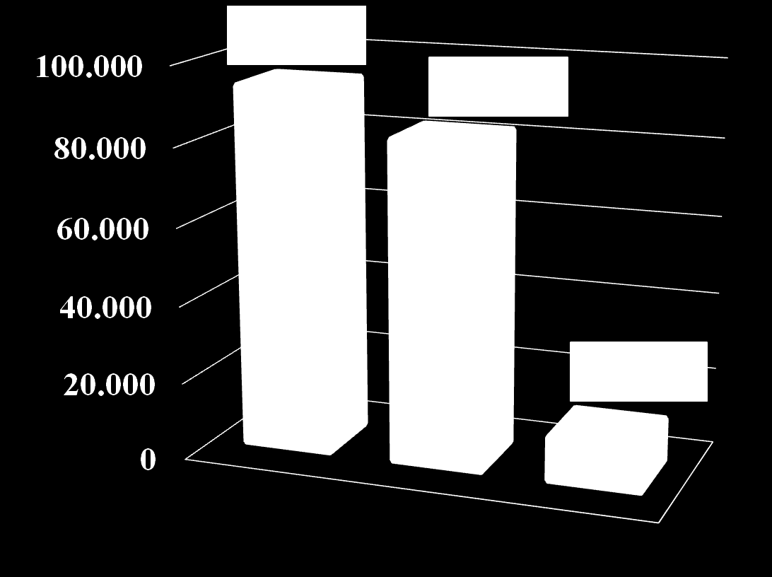 2016 Yılında Toplanması Gereken Atık Akümülatör Miktarı ( ton)