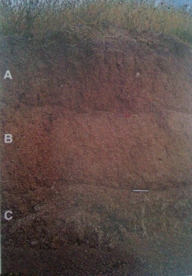 (3) Kireç taşlarından oluşan intrazonal topraklar Kireçtaşı, dolomit ve marn taşı ve alçı taşından oluşan A/C