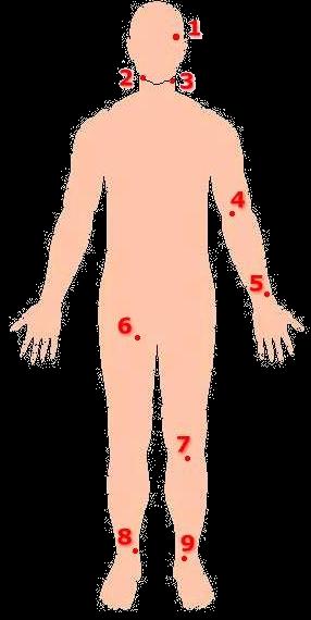 Elle KAH ölçümü, vücutta yer alan arter damarların yüzeye yakın olduğu bölgelerde neden olduğu darbelerin hissedilmesine dayanır.
