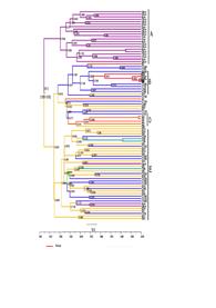 HCV 1b Türkiye ye 1920 lerde girmiştir Infection,