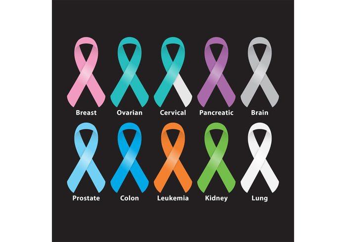 Kanser taraması Mamografi 50-70 yaş kadınlarda 1-3 yılda bir Servikal PAP Cinsel aktivite gösteren kadınlarda 1-3 yılda bir Anal PAP 1-3 yılda