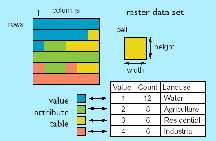 MEKANSAL VERİ VE BİLEŞENLERİ Aralarındaki Farklılıklar Raster verilerin veri depolama hacmi vektör verilere göre oldukça büyüktür.