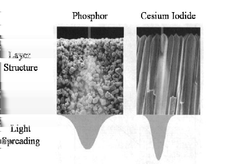 Sintilatör Türleri GOS sintilatör granüler yapıdadır CsI sintilatör ise 5-10 µm kalınlığındaki iğne yapısına sahiptir CsI sintilatörde görünür ışık iğne yapısı
