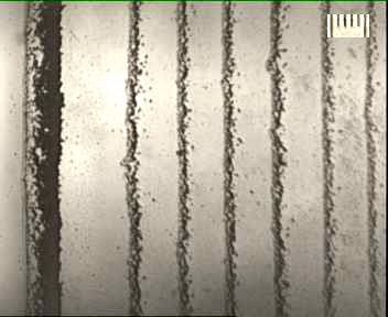 100 µm 100 µm (a) C=0,54 mg/ml (b) C=0,27 mg/ml Şekil 4. Zeolit A-0 ın cam üzerindeki kaplaması.
