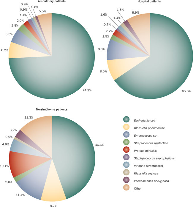 Figure 1 The variation in bacteriology of urinary tract infection (UTI) according to