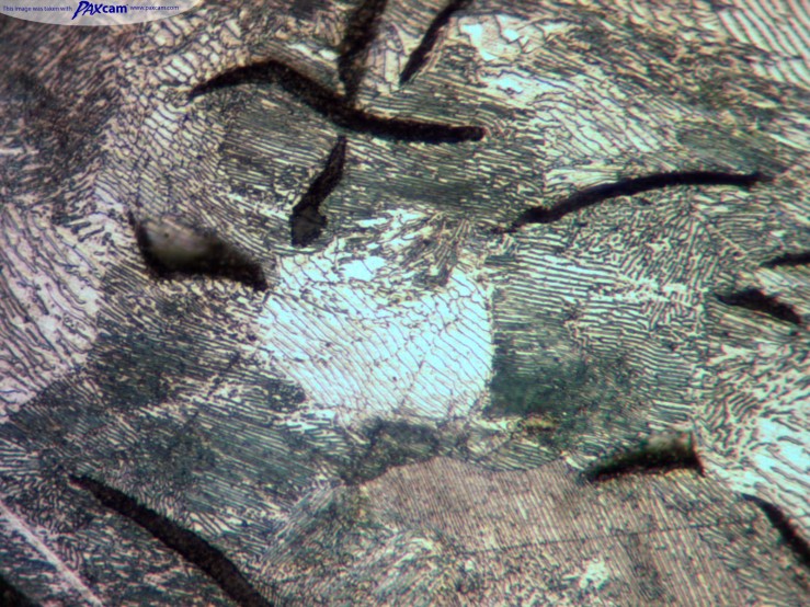 Gri dökme demir mikroskopla incelendiğinde, yapısı içinde dağılmış