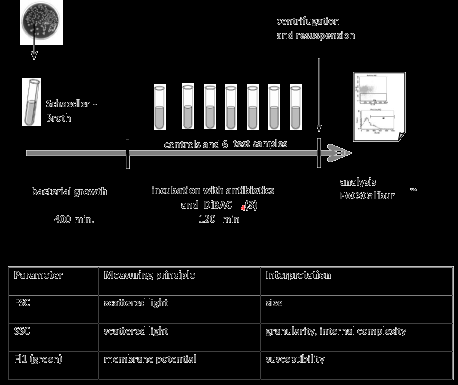 Antibiyotik Duyarlılık Testi Figure 1: Scheme of the flow cytometric susceptibility test. Process of flow cytometric susceptibility testassay.