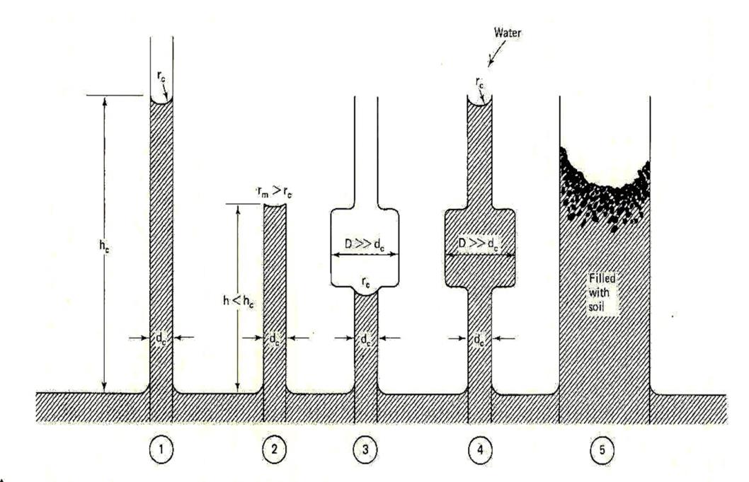 Cam tüplerde kapiler yükselme miktarının tüp çapı ile ters orantılıdır. Zeminlerde de boşlukların çapı ile ters orantılı olacağı tahmin edilebilir.