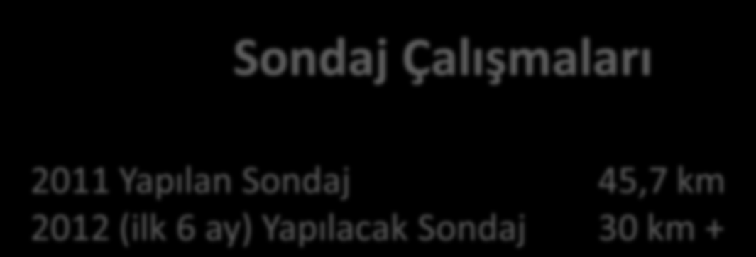 Çöpler Altın Madeni Yapılan Arama Yatırımı Yapılan Sondaj Toplamı Yapılan Sondaj Adedi 30 M$ 156.000 m 1.