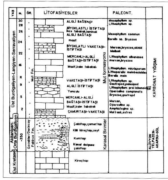 MUT-KARAMAN ARASI MlYOSEN HAVZASI Şek. 6- Zincirkaya tepe ölçülmüş stratigrafi kesiti.