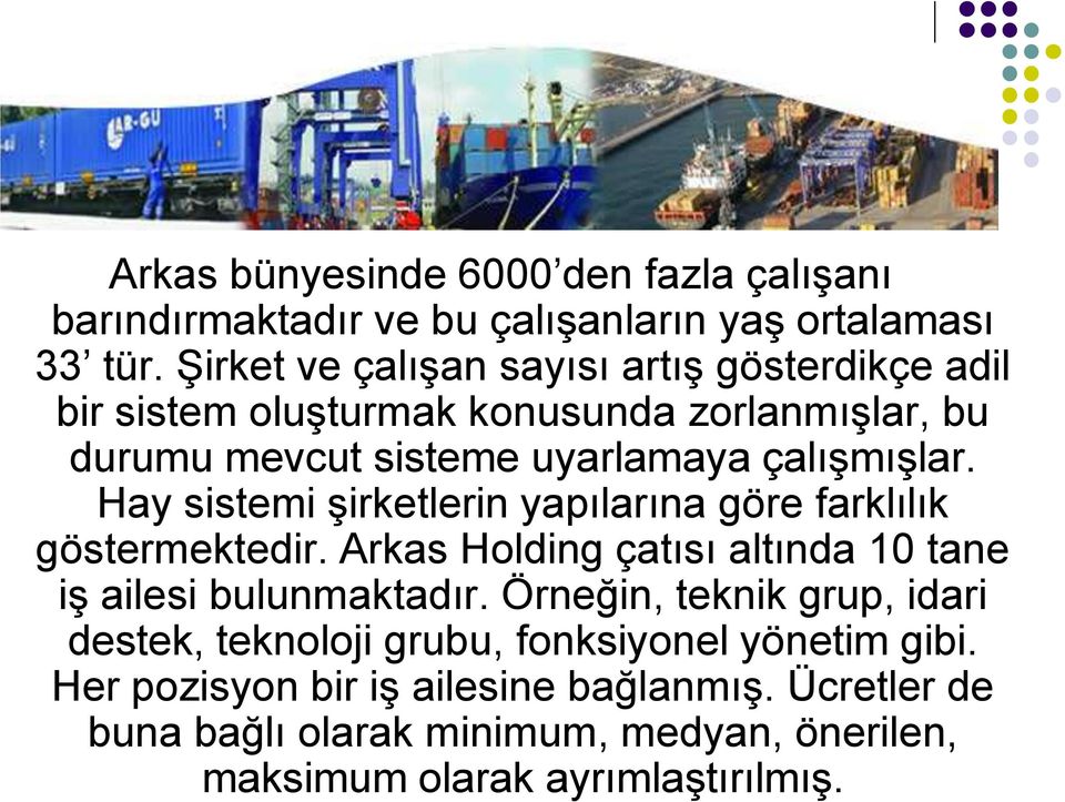 Hay sistemi şirketlerin yapılarına göre farklılık göstermektedir. Arkas Holding çatısı altında 10 tane iş ailesi bulunmaktadır.