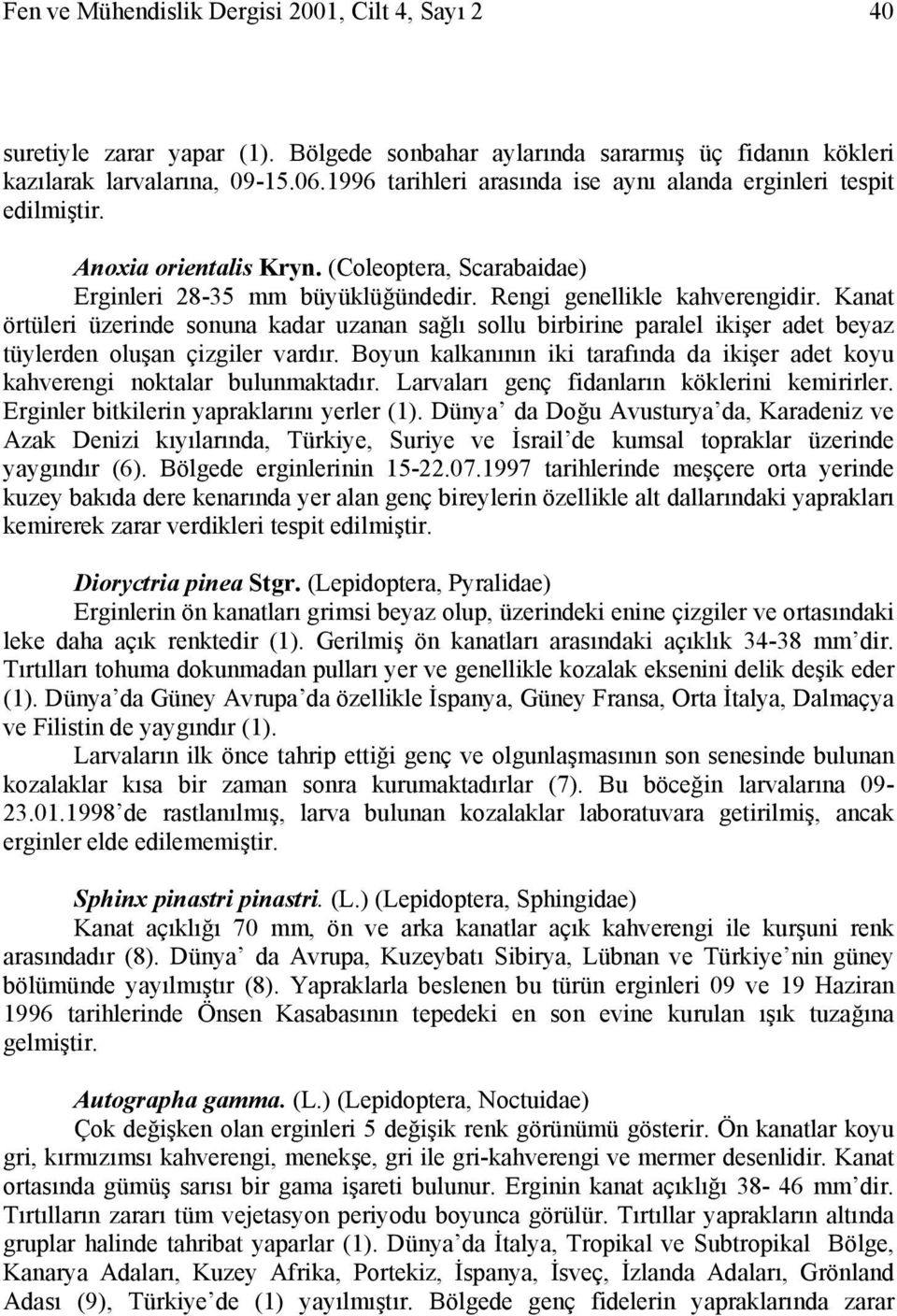 Kanat örtüleri üzerinde sonuna kadar uzanan sağlı sollu birbirine paralel ikişer adet beyaz tüylerden oluşan çizgiler vardır.