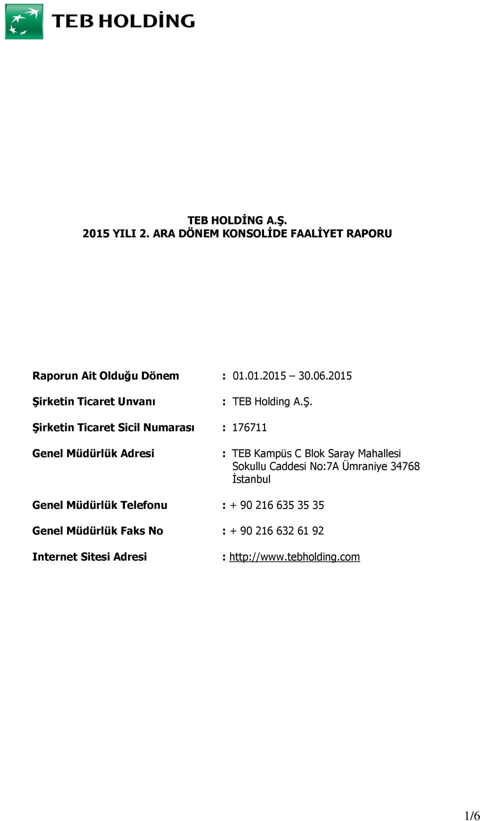 rketin Ticaret Unvanı : TEB Holding A.Ş.