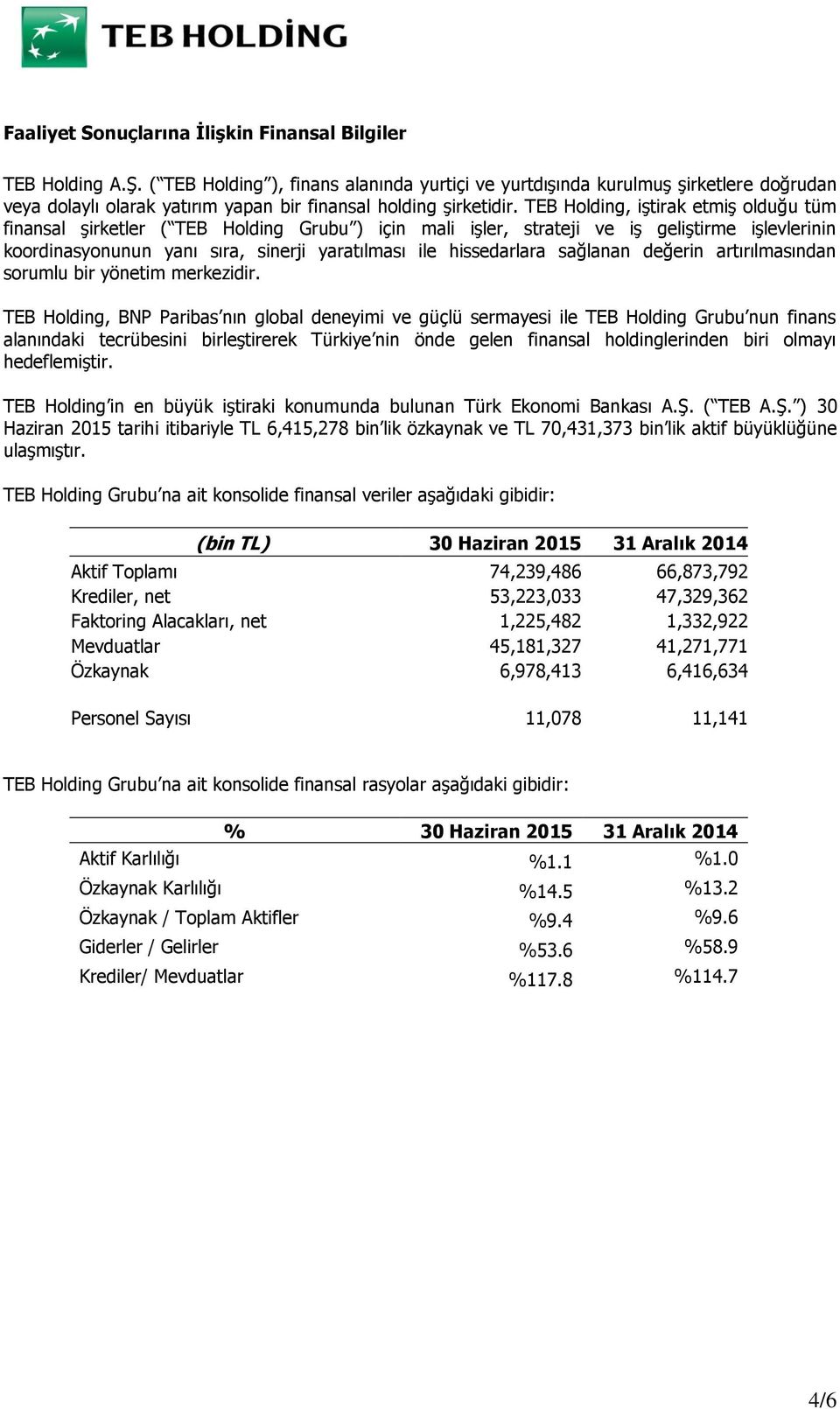 TEB Holding, iştirak etmiş olduğu tüm finansal şirketler ( TEB Holding Grubu ) için mali işler, strateji ve iş geliştirme işlevlerinin koordinasyonunun yanı sıra, sinerji yaratılması ile hissedarlara