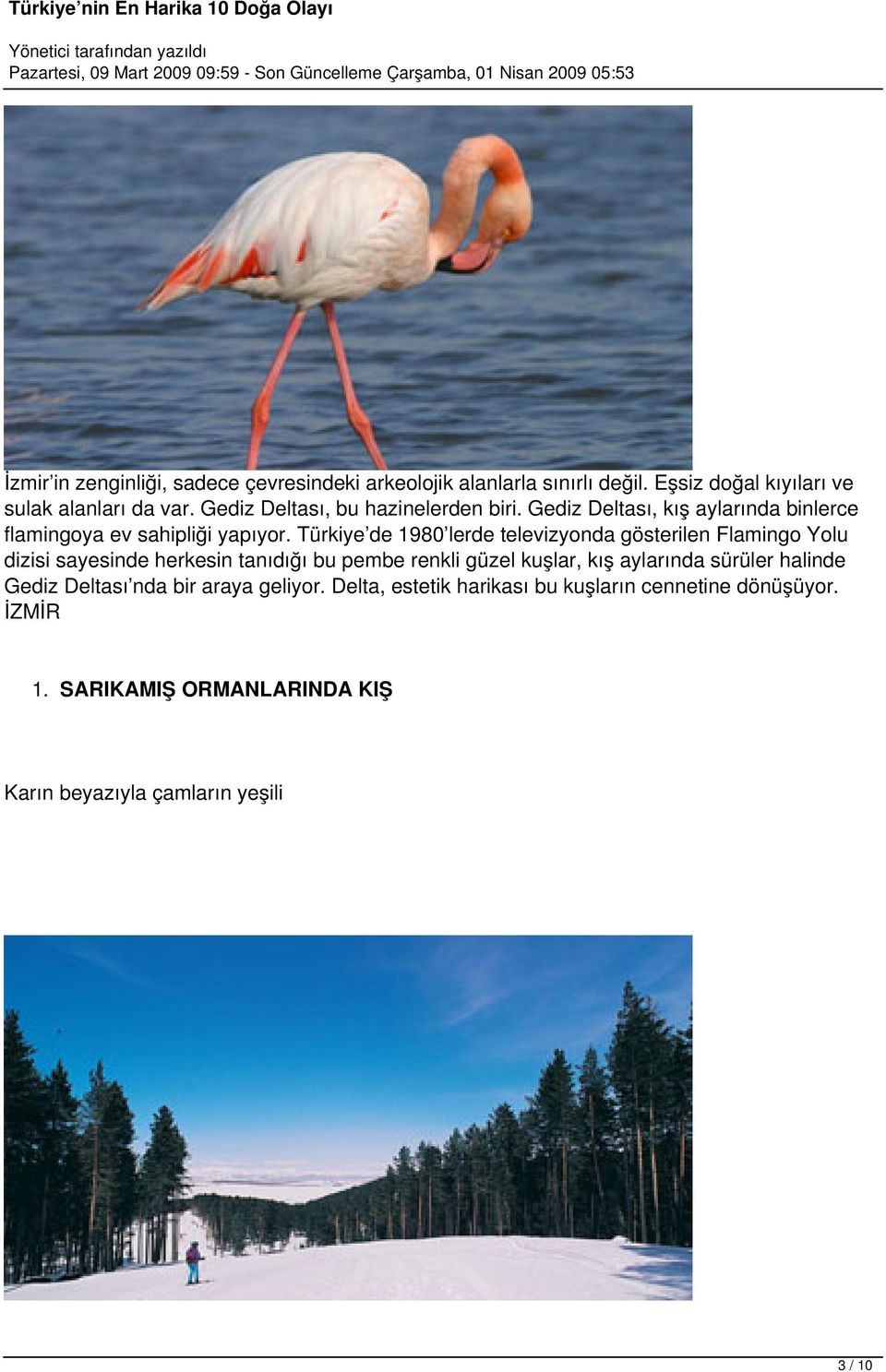 Türkiye de 1980 lerde televizyonda gösterilen Flamingo Yolu dizisi sayesinde herkesin tanıdığı bu pembe renkli güzel kuşlar, kış aylarında
