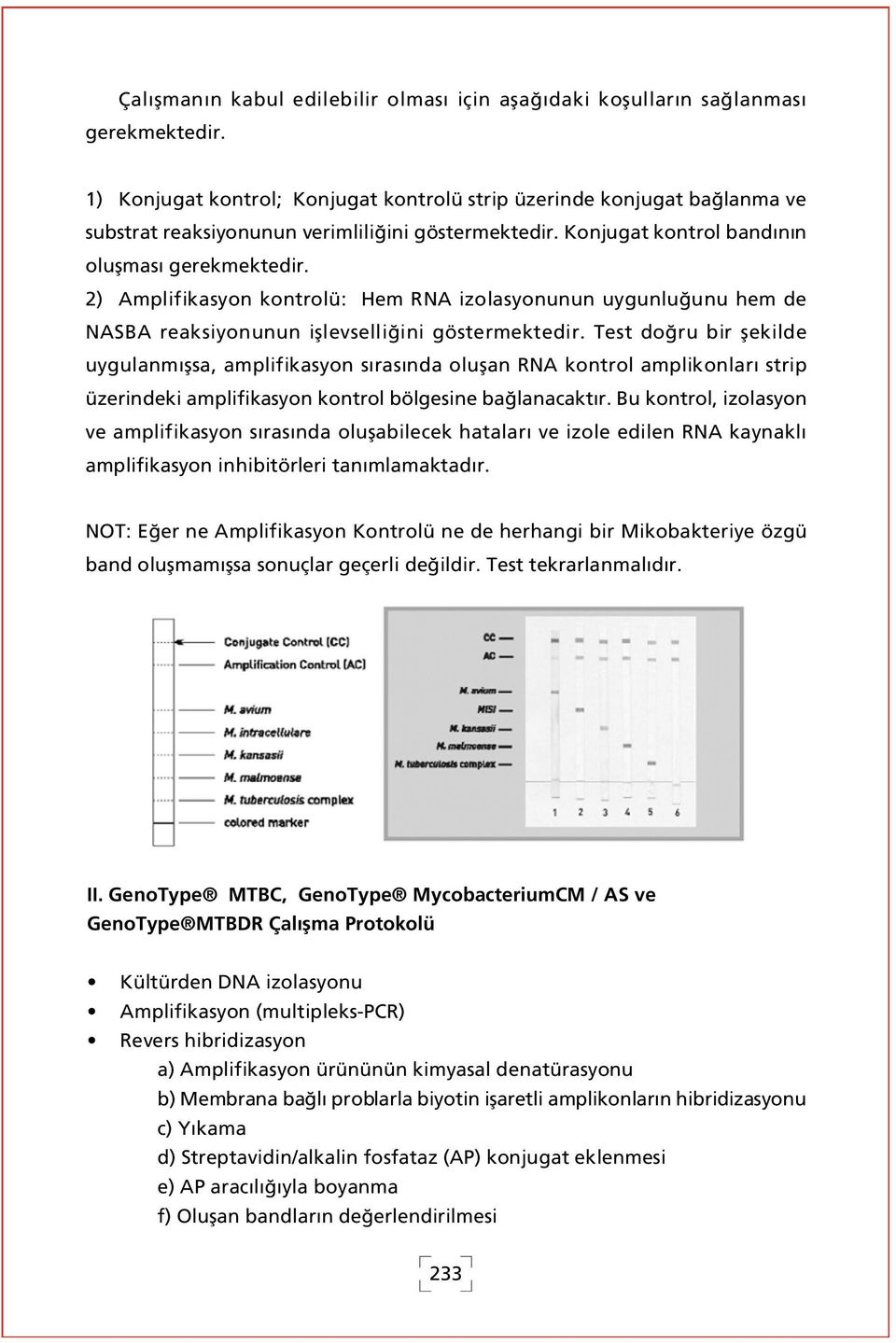 2) Amplifikasyon kontrolü: Hem RNA izolasyonunun uygunlu unu hem de NASBA reaksiyonunun ifllevselli ini göstermektedir.