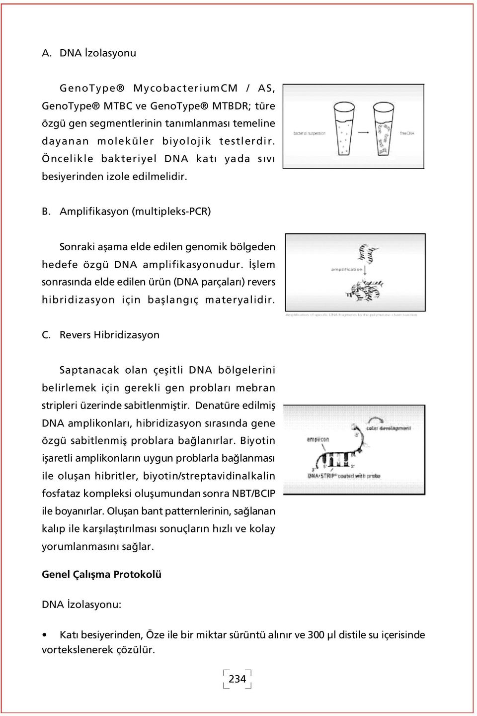 fllem sonras nda elde edilen ürün (DNA parçalar ) revers hibridizasyon için bafllang ç materyalidir. C.