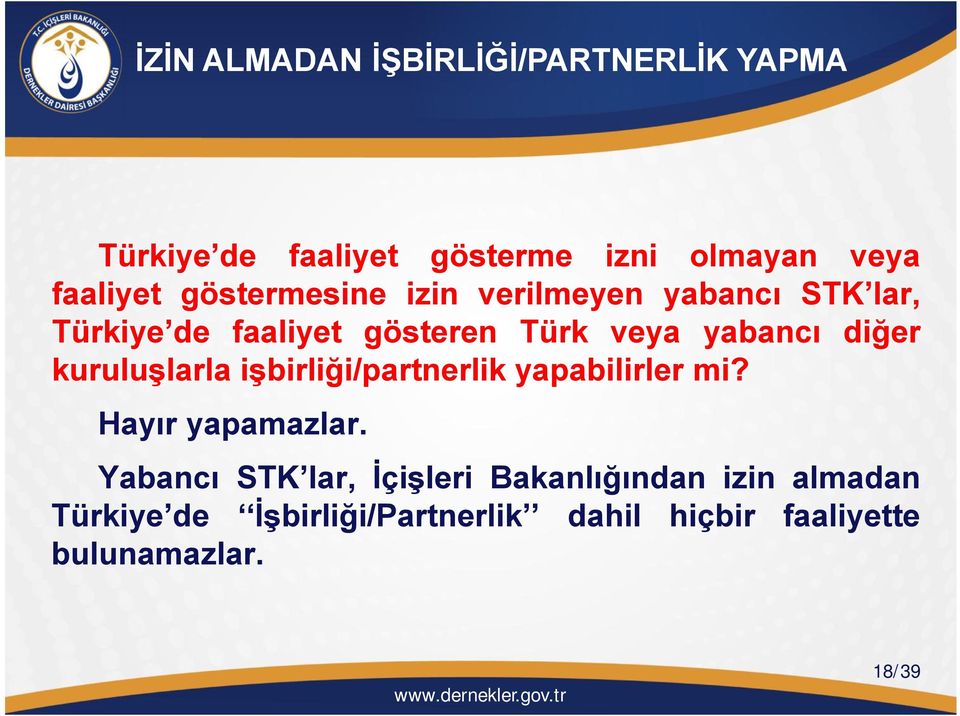 diğer kuruluşlarla işbirliği/partnerlik yapabilirler mi? Hayır yapamazlar.