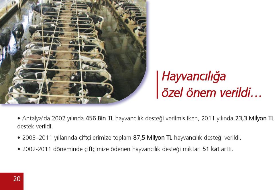 2003 2011 yıllarında çiftçilerimize toplam 87,5 Milyon TL hayvancılık desteği