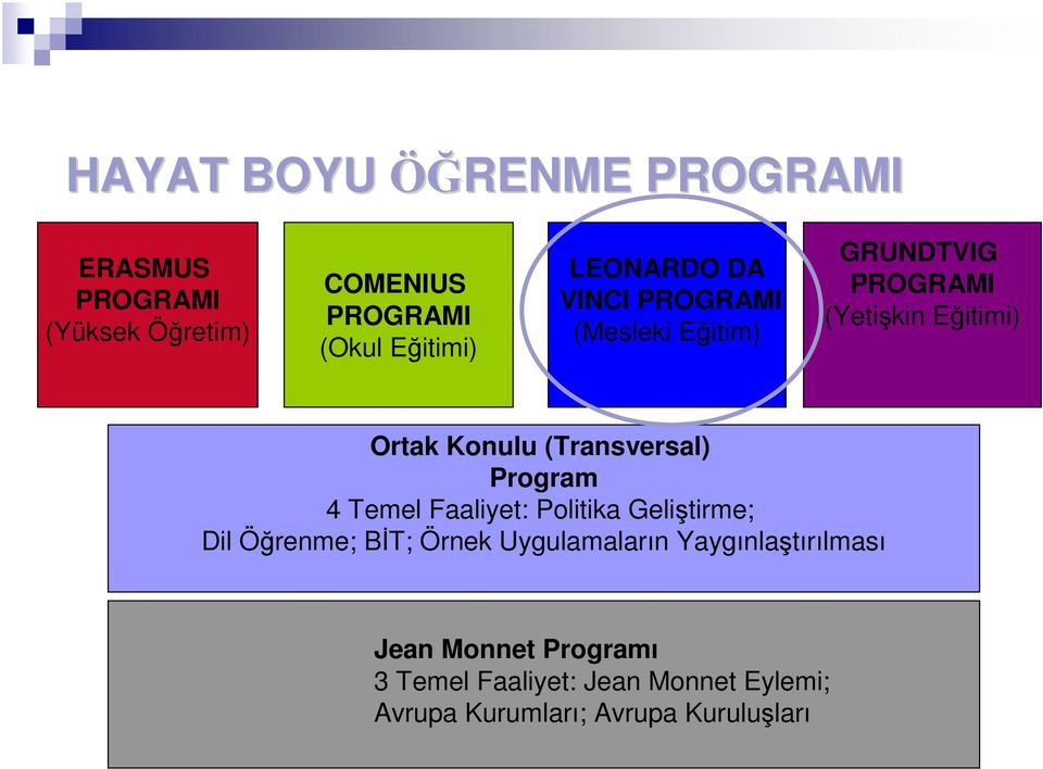 (Transversal) Program 4 Temel Faaliyet: Politika Geliştirme; Dil Öğrenme; BĐT; Örnek Uygulamaların