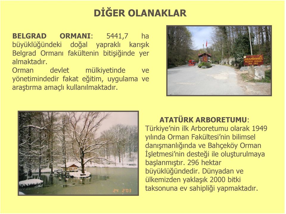 ATATÜRK ARBORETUMU: Türkiye nin ilk Arboretumu olarak 1949 yılında Orman Fakültesi nin bilimsel danışmanlığında ve Bahçeköy Orman